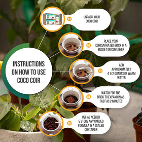 Vivlly coco coir brick releasing gallons for hydroponics setup
