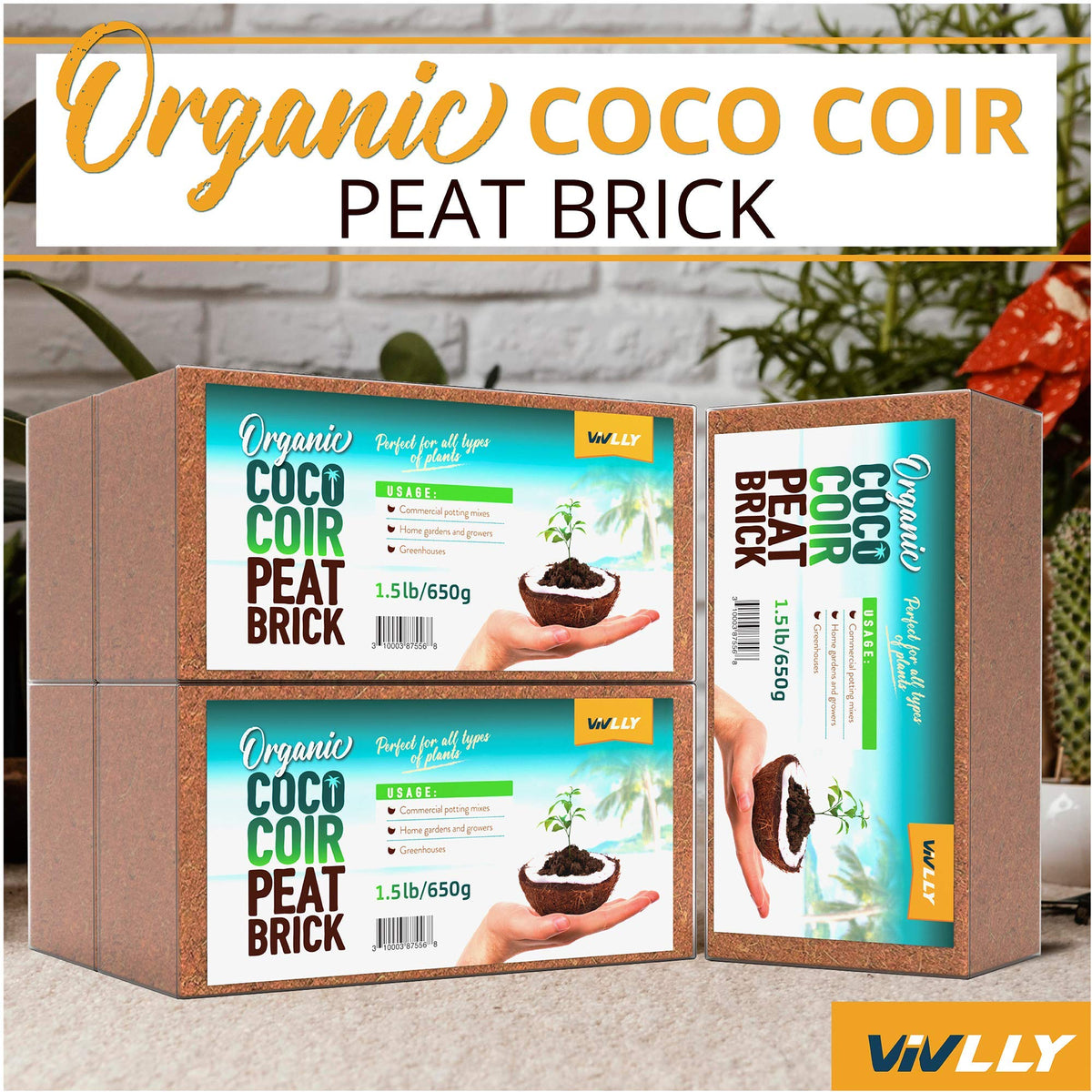 Vivlly coco coir brick as mushroom substrate in growing kits