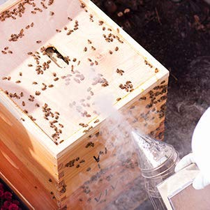 VIVO smoker with 4 inch diameter nose for stable handling
