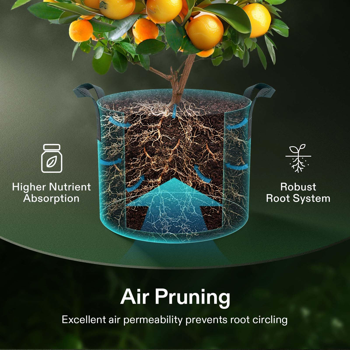 VIVOSUN bag full of soil illustrates portability and easy relocation
