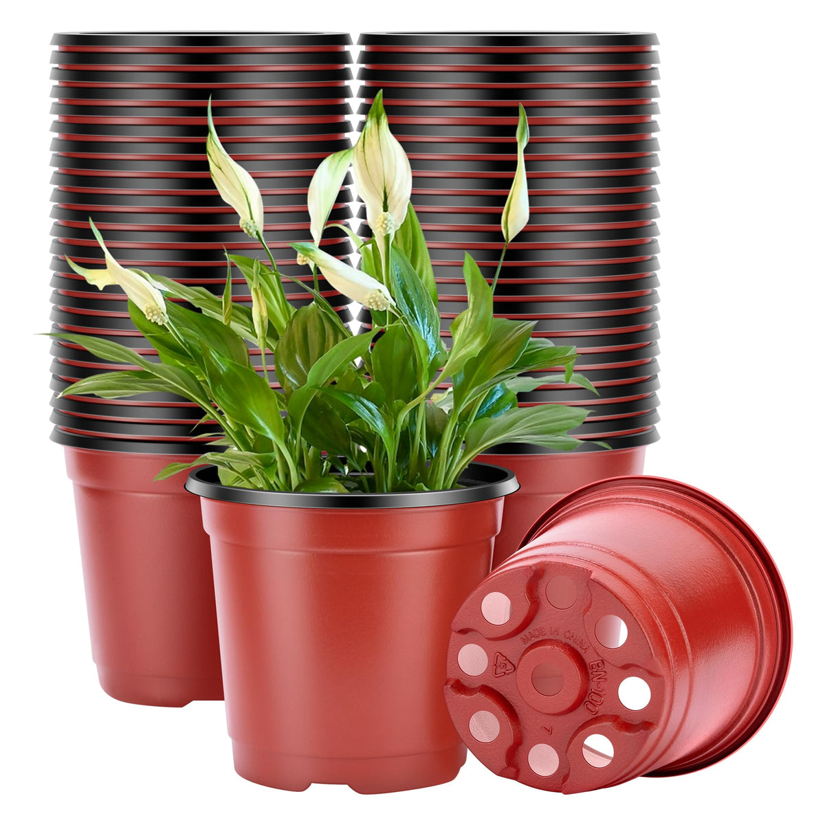 VIVOSUN 4-inch seed-starting pot supports healthy germination.
