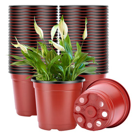 VIVOSUN 4-inch seed-starting pot supports healthy germination.