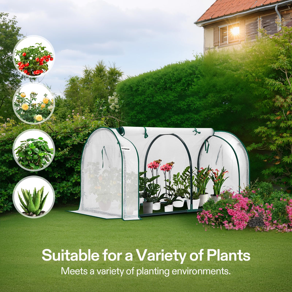 VIVOSUN 47x23x23-inch greenhouse offering ample growing space for seedlings.