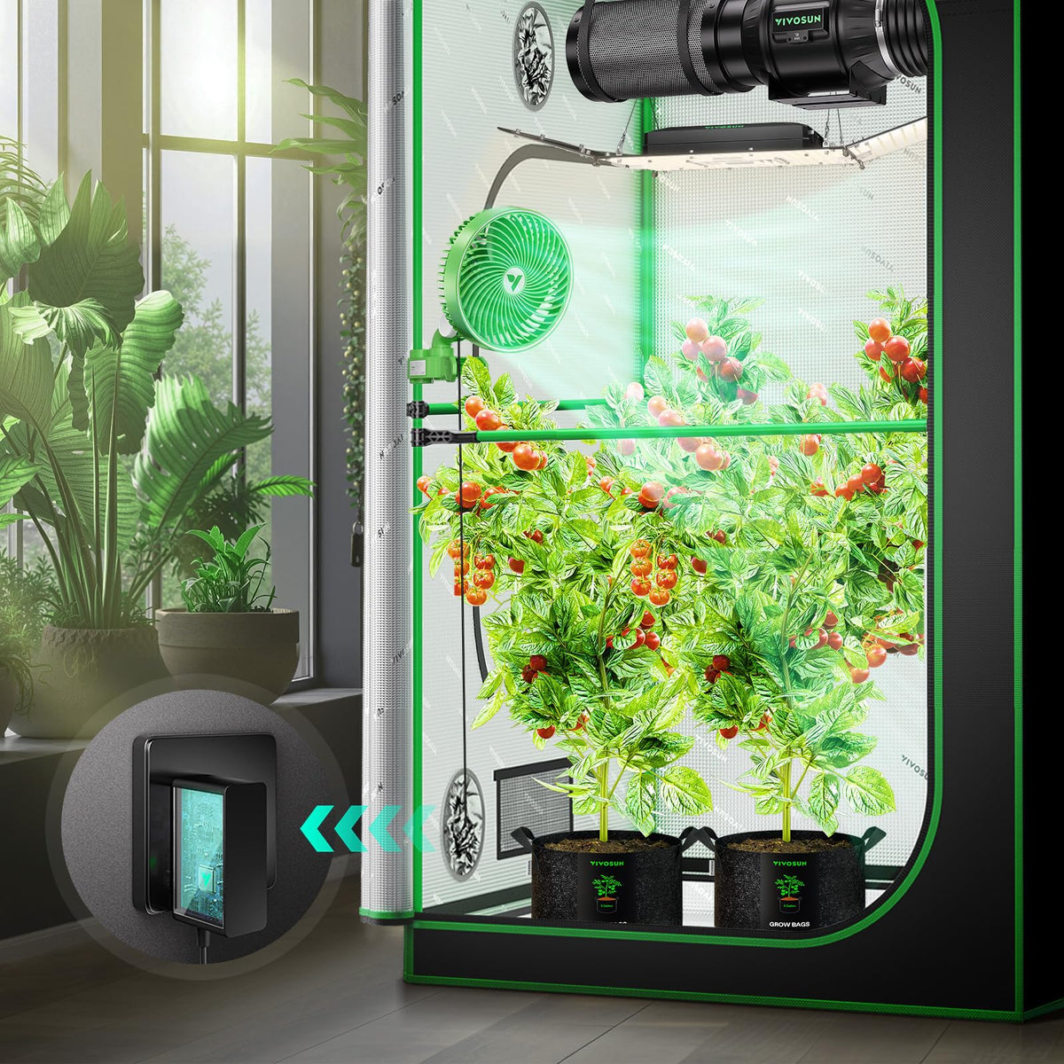 Grow tent installation with AeroWave E6 improves airflow and circulation.