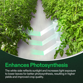 VIVOSUN Panda film 10x100 full roll covers extensive areas with light management.