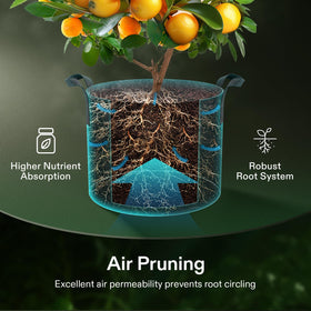 VIVOSUN breathable fabric promotes drainage and air flow around roots.