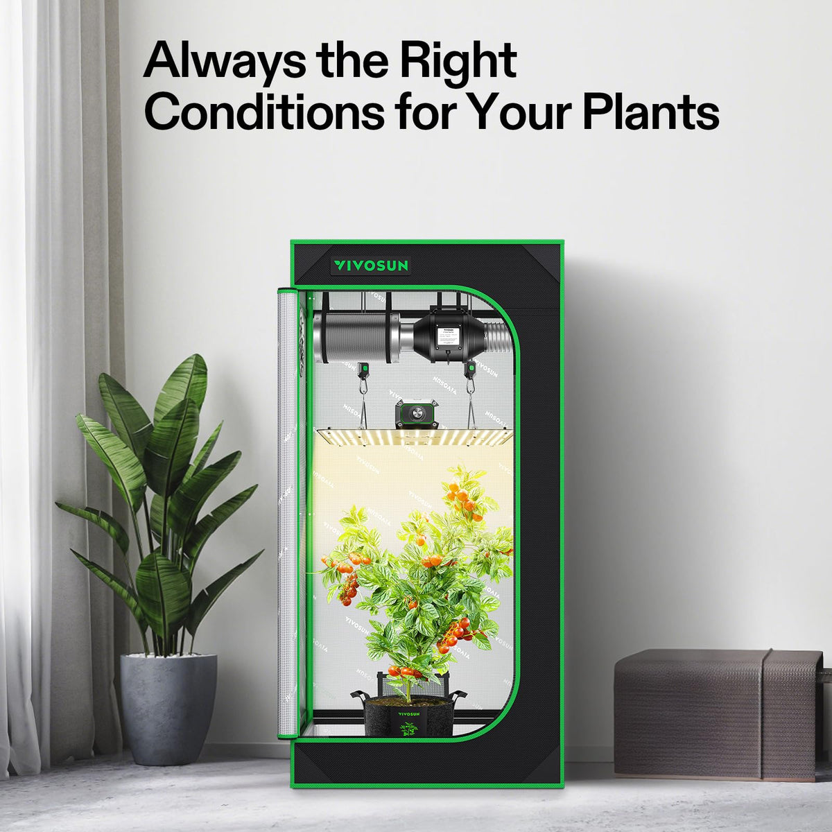 VIVOSUN GrowHub A22 controller for WiFi-enabled grow system.