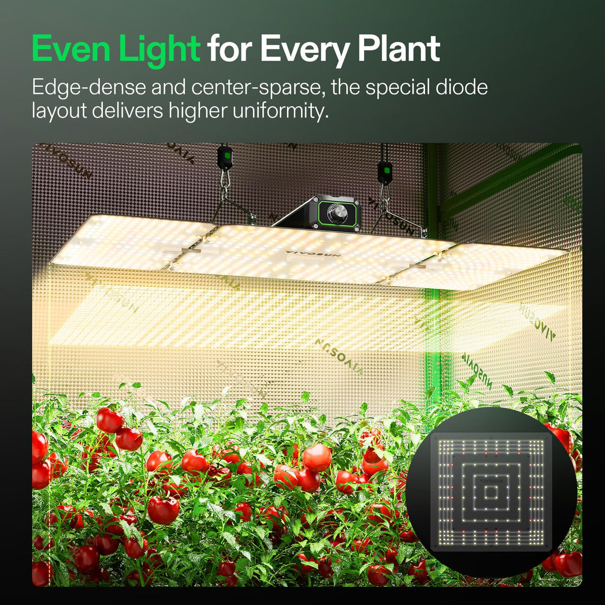 VIVOSUN LumaLight 200W dimmable control demonstrates easy spectrum tuning.
