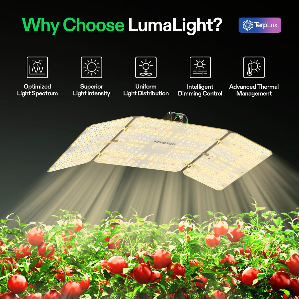 VIVOSUN LumaLight 200W side view highlighting slim profile for tent setup.