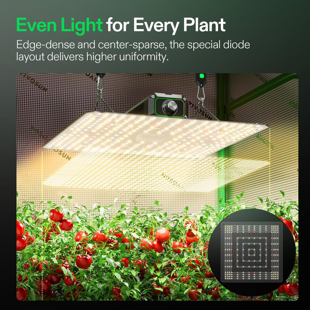 VIVOSUN LumaLight IP65 design withstands moisture and dust in tent environments.