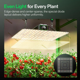 VIVOSUN LumaLight IP65 design withstands moisture and dust in tent environments.
