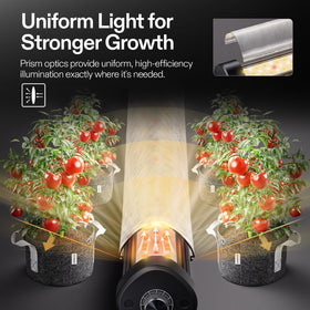 VIVOSUN LumaRay SGS compatibility for app-based grow management