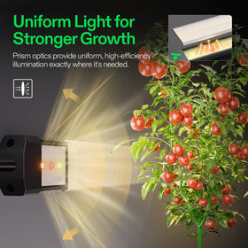 VIVOSUN Lumaray with SGS control interface enables app-based light management