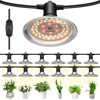 VIVOSUN outdoor 12-light LED grow kit in a greenhouse supporting healthy seedlings.