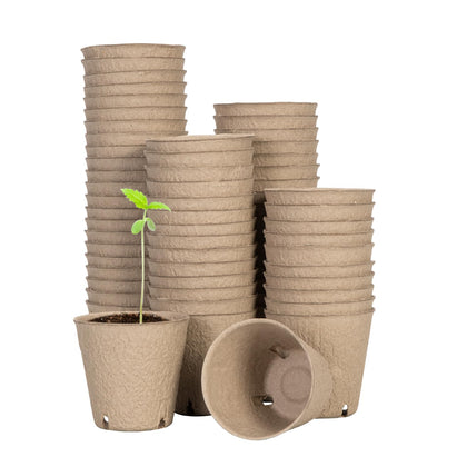 VIVOSUN peat pot with four drainage holes ready for seedling growth