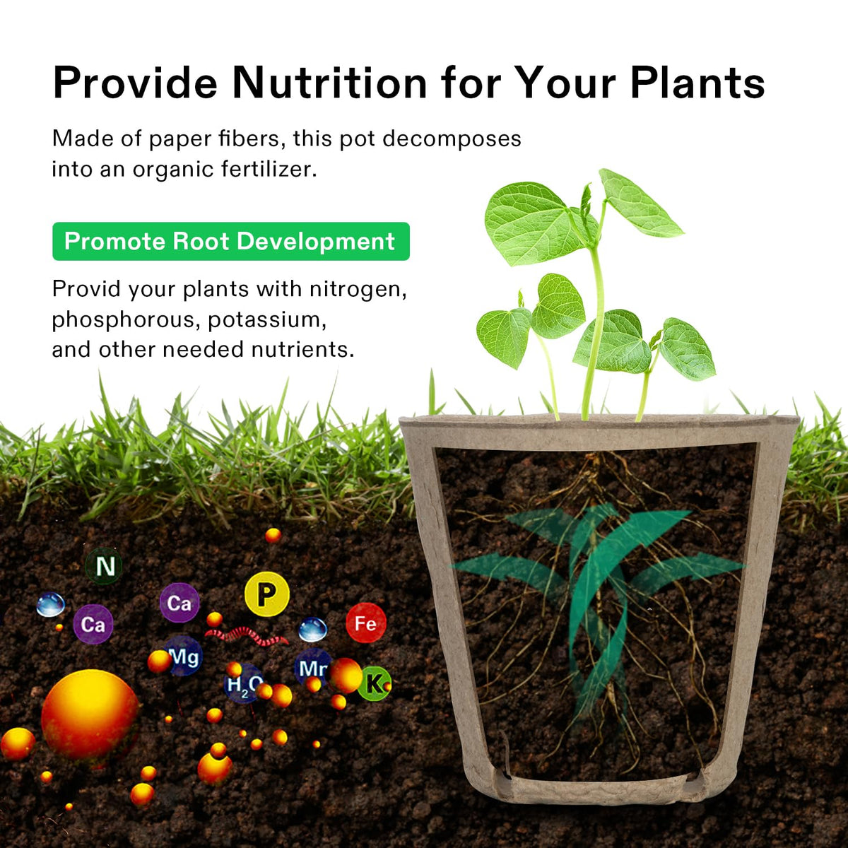 Pack includes 20 plant labels for organizing seedlings with VIVOSUN pots