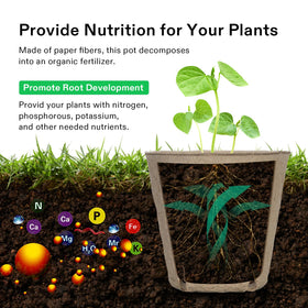 Pack includes 20 plant labels for organizing seedlings with VIVOSUN pots