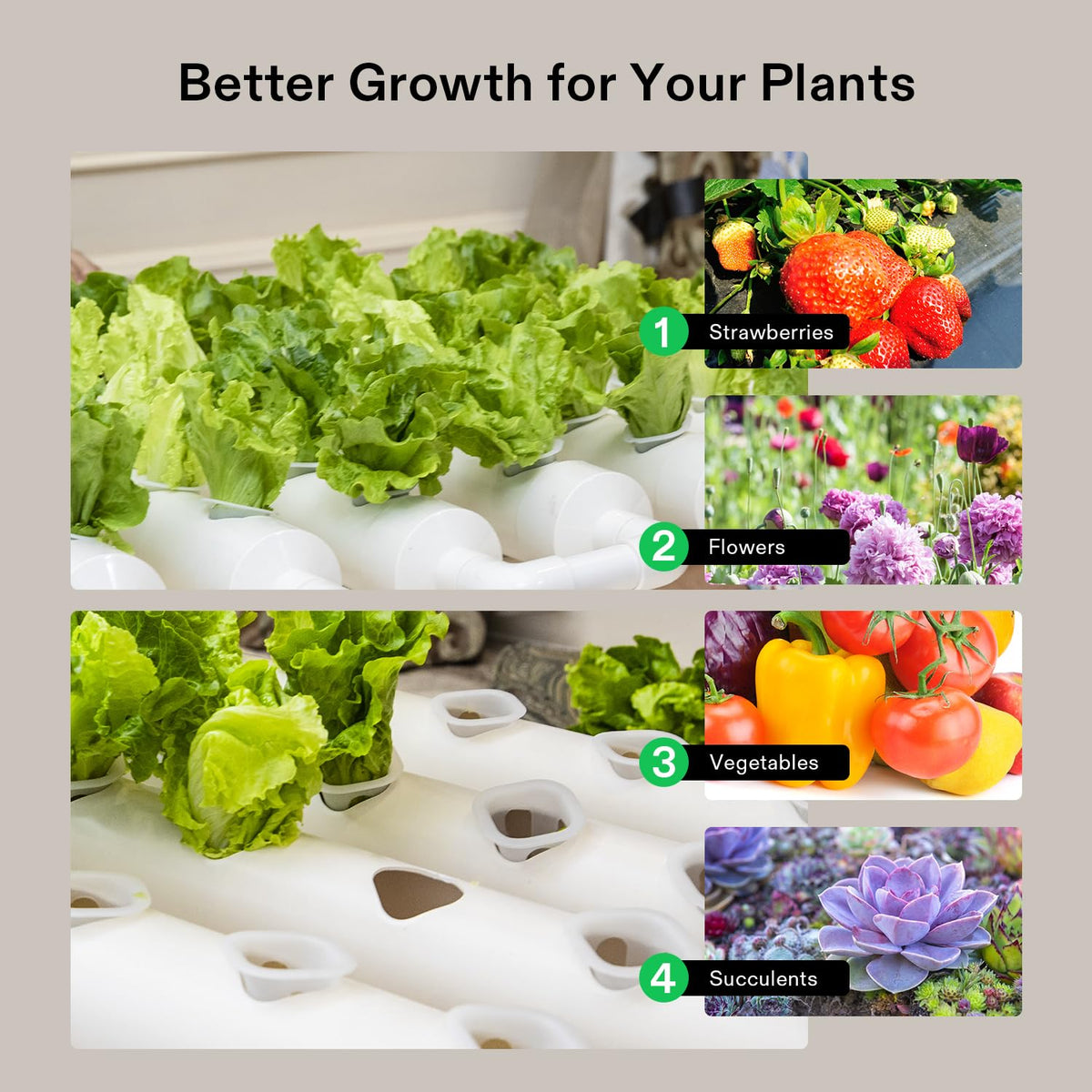 VIVOSUN 36-plant-sites close-up highlighting leafy greens potential