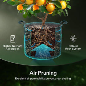VIVOSUN portable grow bags with strong handles for easy movement