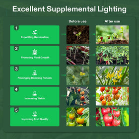 VIVOSUN setup ideal for seedlings and garden crops in greenhouse or backyard.