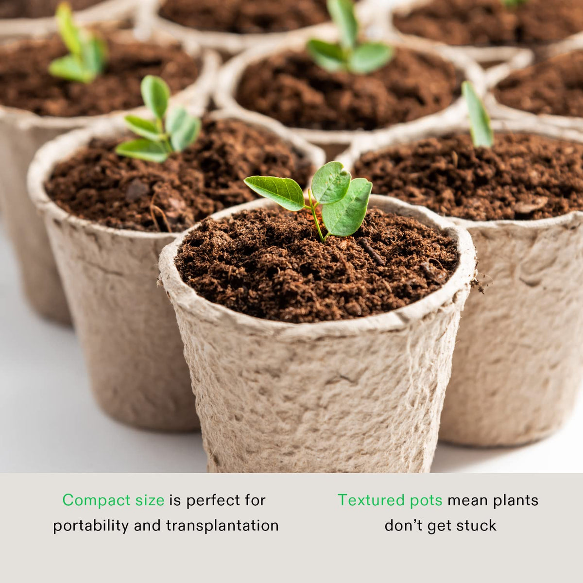 VIVOSUN seedling pot ready for transplant without disturbing roots
