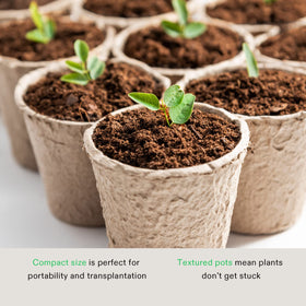 VIVOSUN seedling pot ready for transplant without disturbing roots