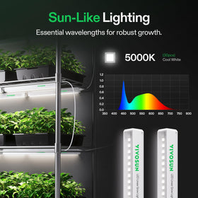 Remote-capable VIVOSUN T5 enables scheduling with SGS GrowHub compatibility