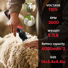 Vkdemer battery pack with two cells enables seamless swaps.