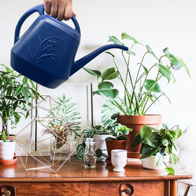 VKPLITE anti-fall durable design withstands daily home gardening