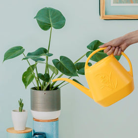 VKPLITE hands using yellow watering can for indoor potted plants