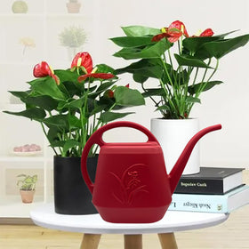 VKPLITE recyclable plastic can ideal for home garden use.