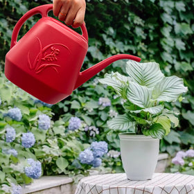 VKPLITE sturdy anti-fall design helps prevent spills.
