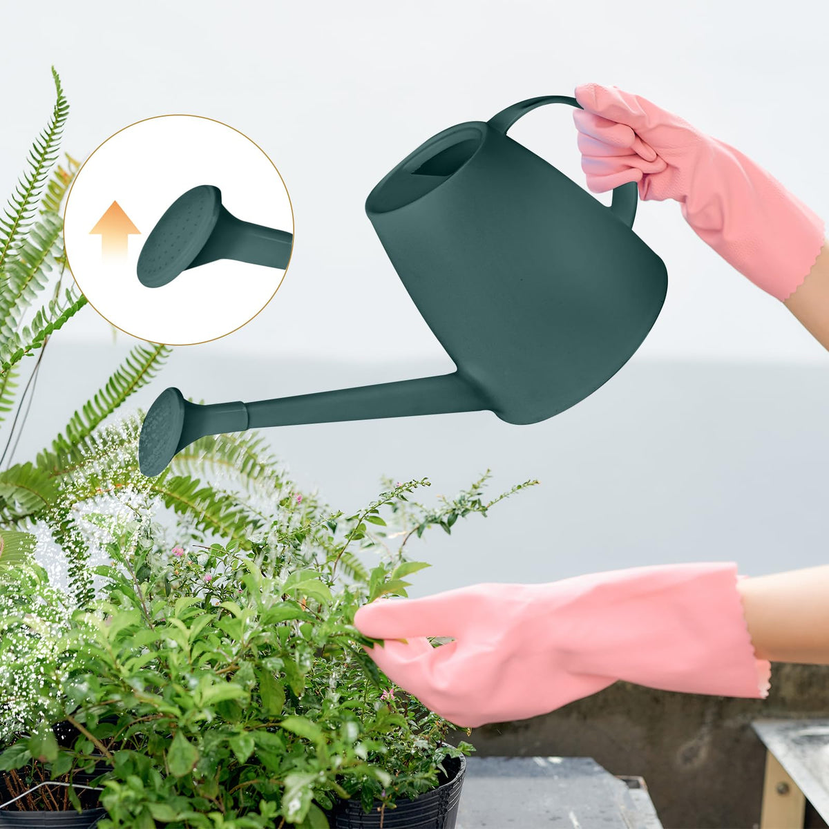 VKPLITE blackish-green can adds a sleek look to plant care