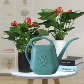 VKPLITE green watering can ensures a steady flow for even hydration.