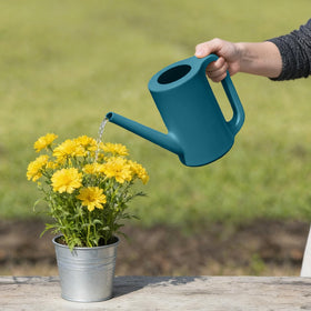 VKPLITE blue watering can used indoors and outdoors in various settings