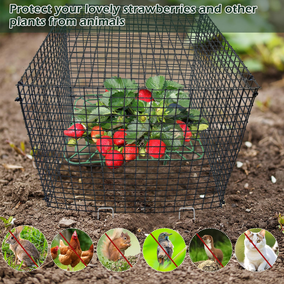 Voccos ground spikes and straps provide sturdy, adjustable installation.