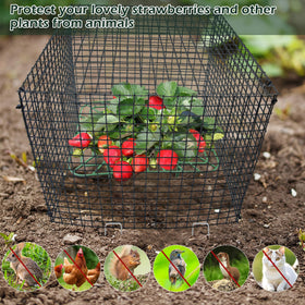 Voccos ground spikes and straps provide sturdy, adjustable installation.