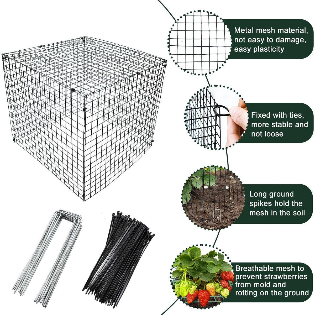 Voccos metal wire cages with close up view guarding young fruit.