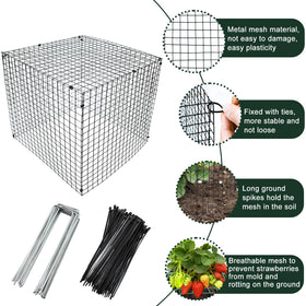 Voccos metal wire cages with close up view guarding young fruit.
