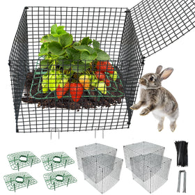 Voccos strawberry protectors ready to assemble for garden protection.