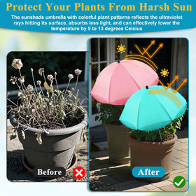 Voccos two-piece assembly makes setup quick and easy in any garden.