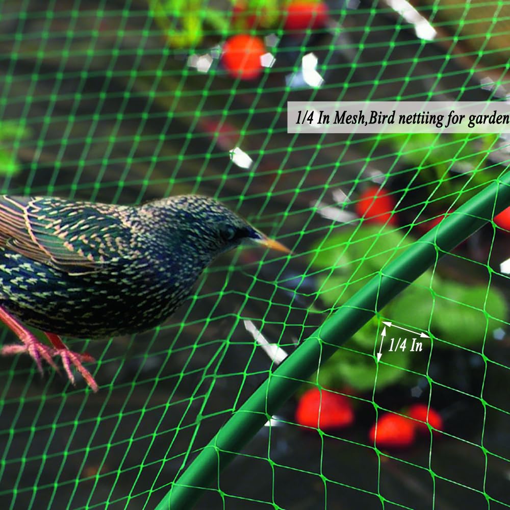 Vocray blueberries netting protecting berries from hungry birds during harvest.