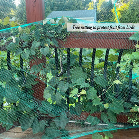 Vocray pest barrier blocks deer and small mammals while plants continue to grow.
