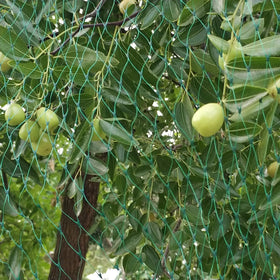 Vocray frames-ready setup helps secure the net over plants with simple stakes.