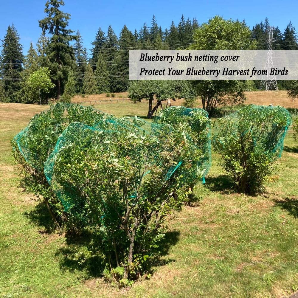 Vocray tomatoes netting covers vegetables while preserving sunlight and rain access.