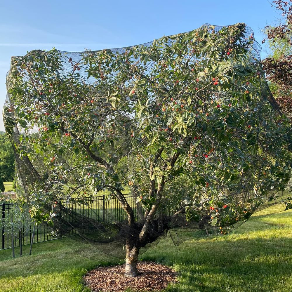 Vocray bird netting provides wildlife-friendly protection without harming birds.