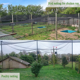 Vocray fruit tree netting shields crops without hindering growth