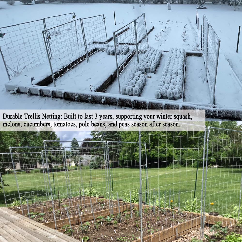 Vocray garden bed trellis guides vertical growth along planting rows.