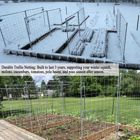 Vocray garden bed trellis guides vertical growth along planting rows.