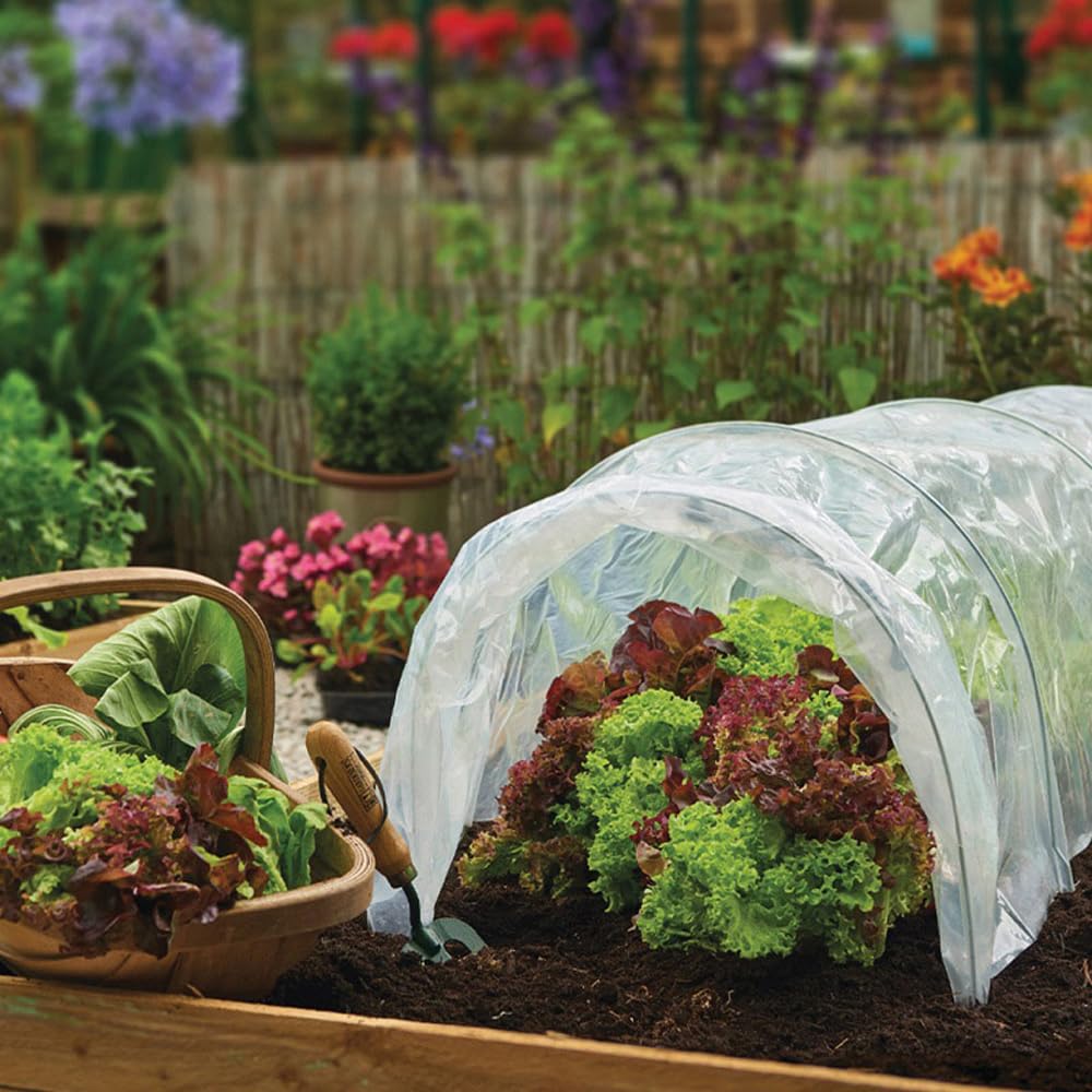 Vocray clear film used in a greenhouse setup for extra protection.